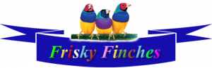 Gouldian Finch Breeding Information-Finch Supplies-Lady Gouldian Finches-Finch Breeding Supplies